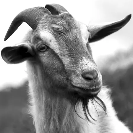 Appartamento La Barca 