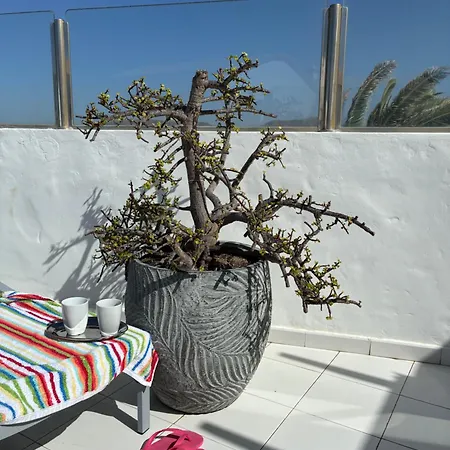 Apartment La Barca 