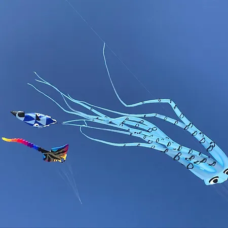Διαμέρισμα La Barca 